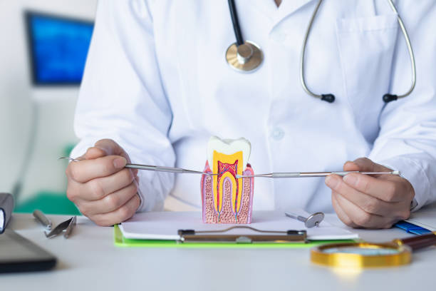 Best Emergency Root Canal Treatment in Oneonta, NY